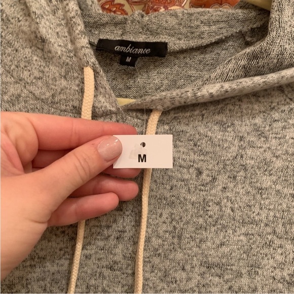 {AMBIANCE} Grey Soft Hoodie NWT - Picture 5 of 6